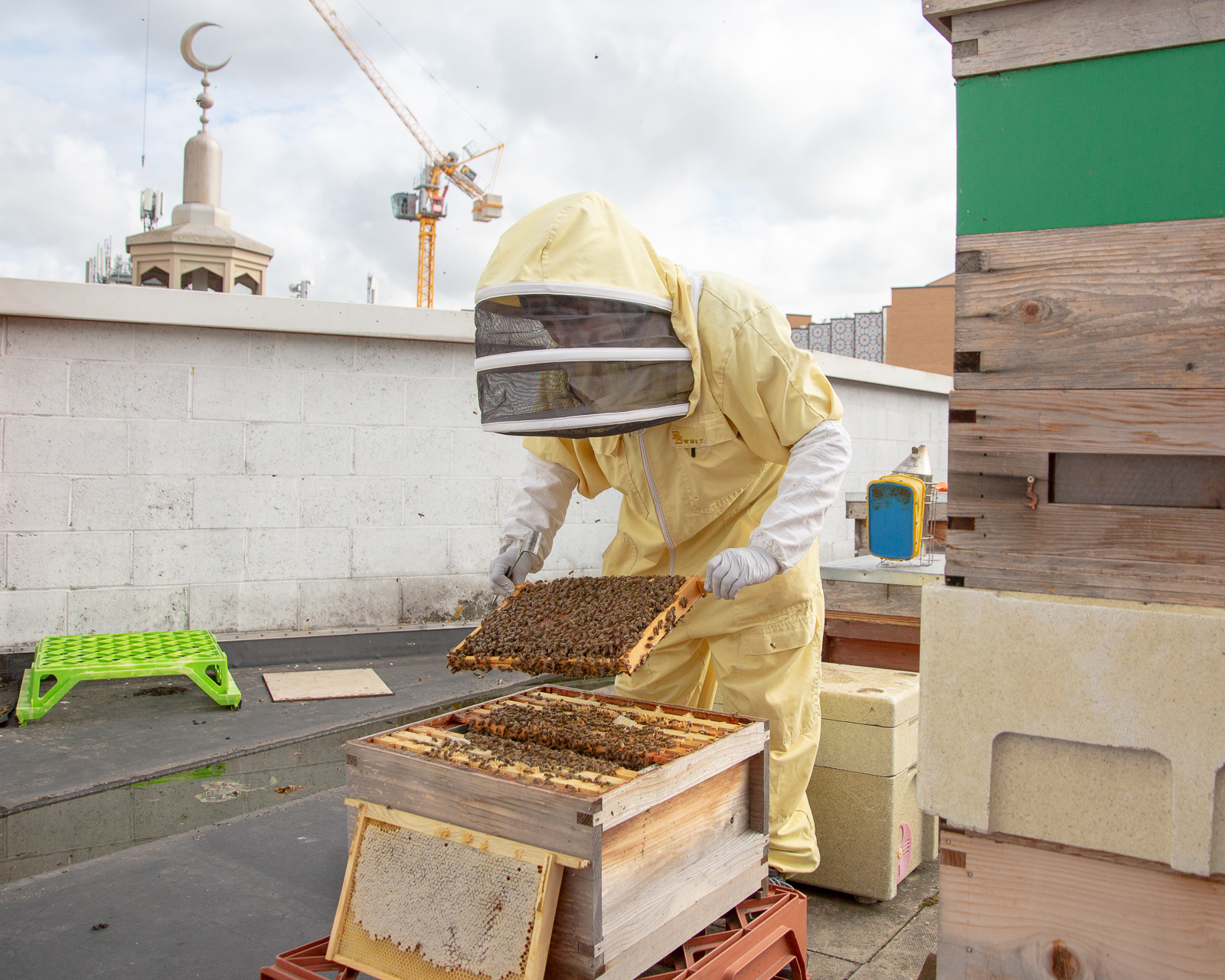 honey bees east london mosque