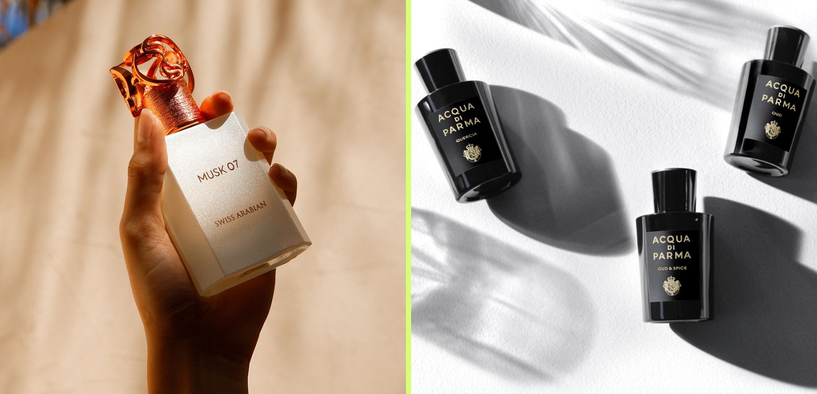 Hafsa Lodi on Oud. Photographs courtesy of Swiss Arabian and Acqua di Parma