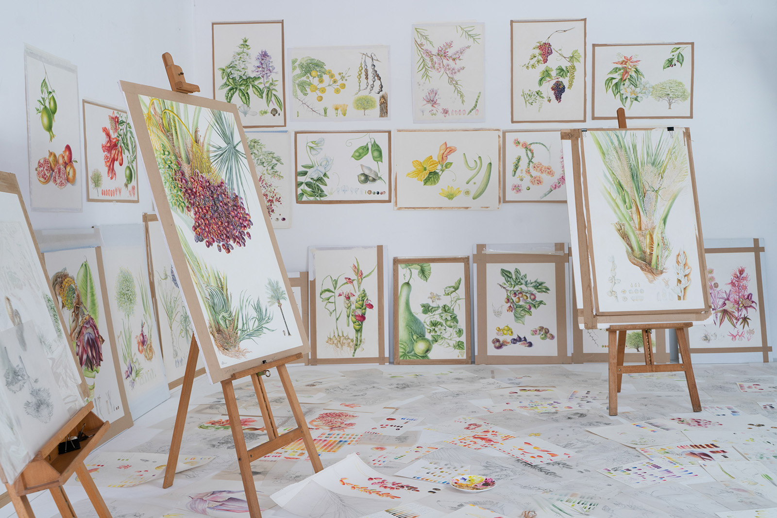 Paintings for the Plants of the Qur'an Kew Gardens exhibition by artist Sue Wickison