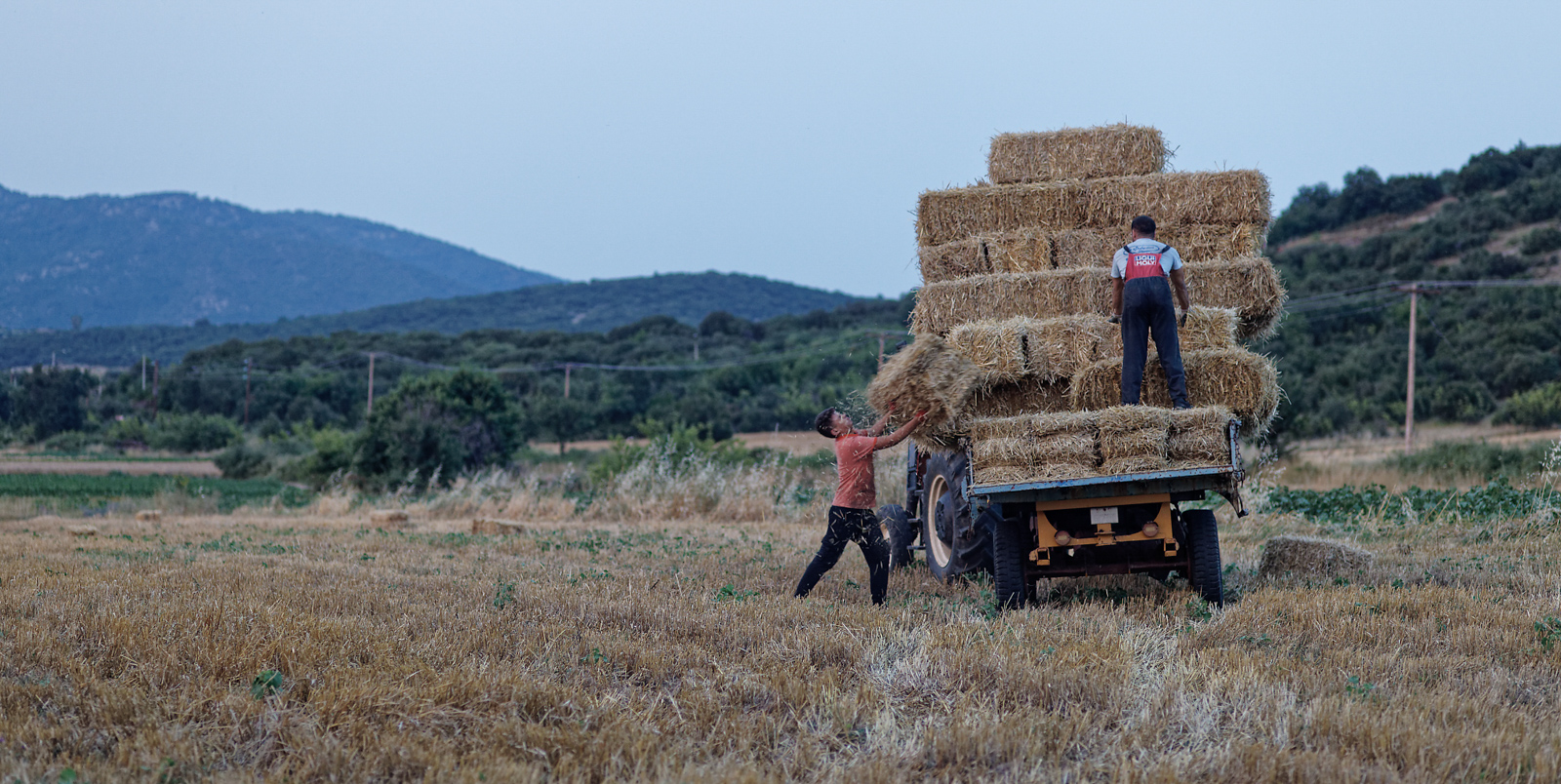 Members of Thrace's Muslim minority stack hay on a truck during the harvest season. Photography for Hyphen by Iason Athanasiadis