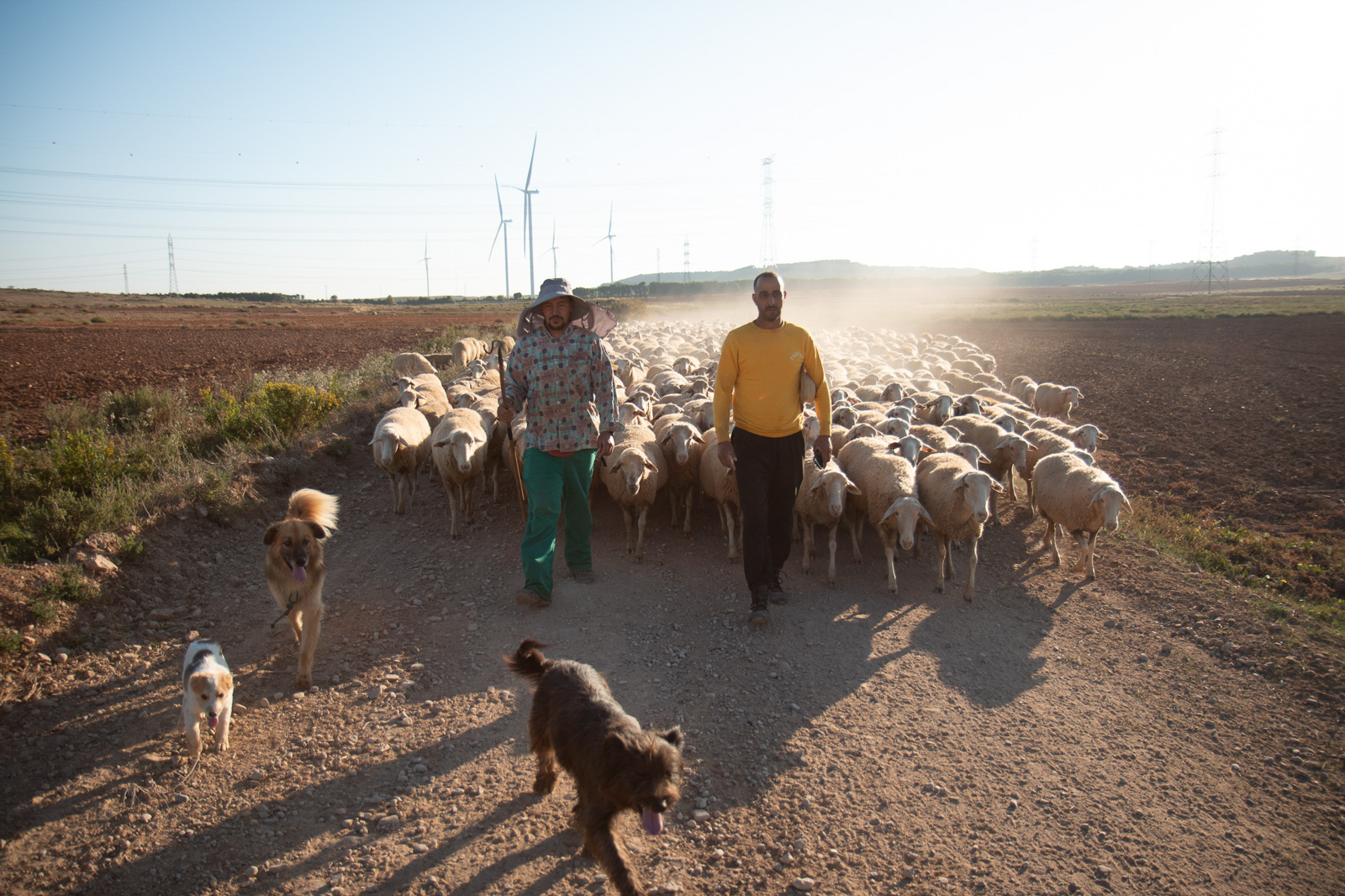 Shepherd Abdul Moundir, photographed in Spain for Hyphen by Nathan Siegel