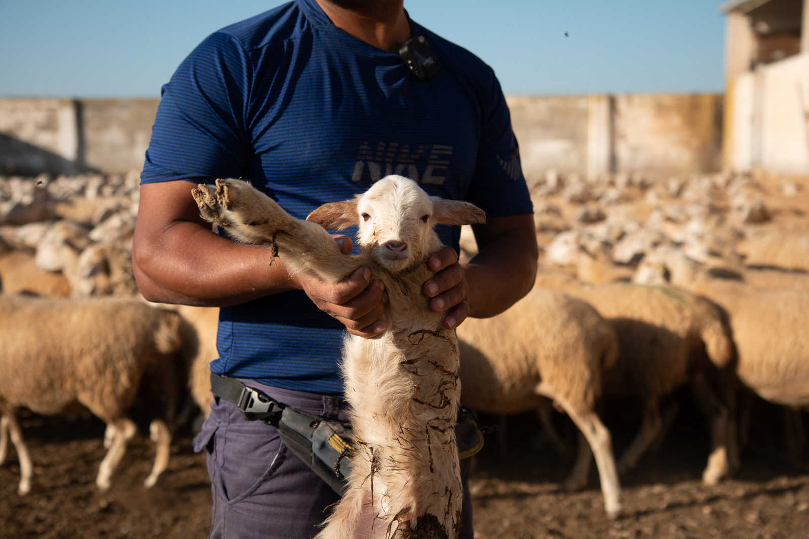 Shepherd Abdul Moundir, photographed in Spain for Hyphen by Nathan Siegel