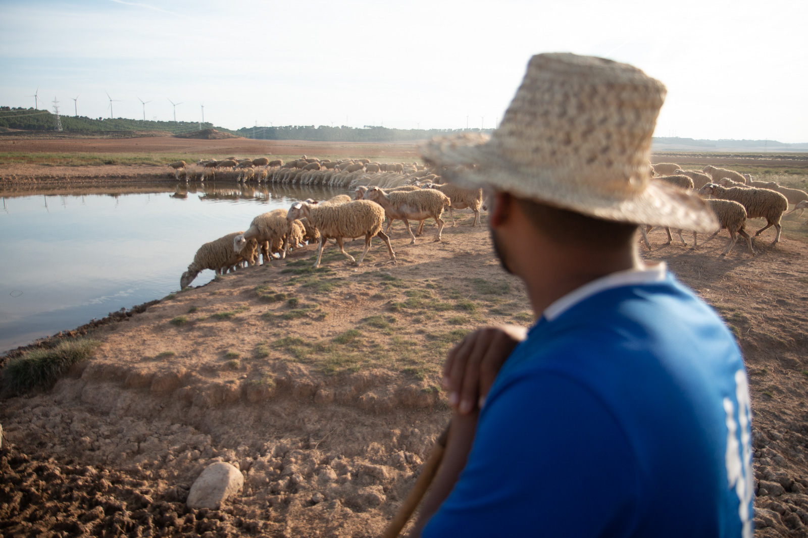 Shepherd Abdul Moundir, photographed in Spain for Hyphen by Nathan Siegel