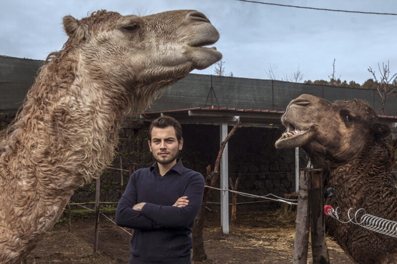 What can a camel teach Italians about their Islamic roots?