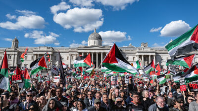 A crowd of Pro-Palestine demonstrators in London's trafalgar square wave Palestinian flags.