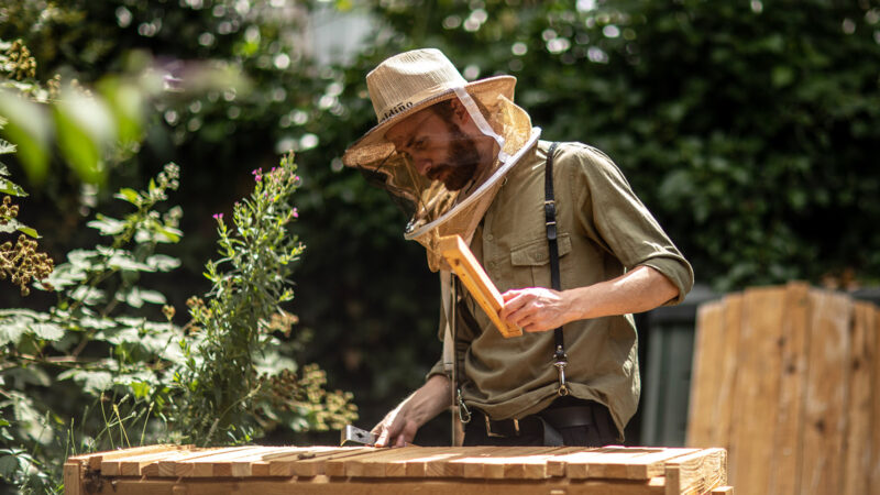 Ali Alzein, founder of Bees and Refugees. Photo of courtesy of Bees and Refugees