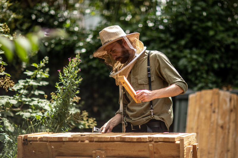 Ali Alzein Q&A: ‘Through beekeeping, I felt a feeling of peace that I hadn’t felt in so long’