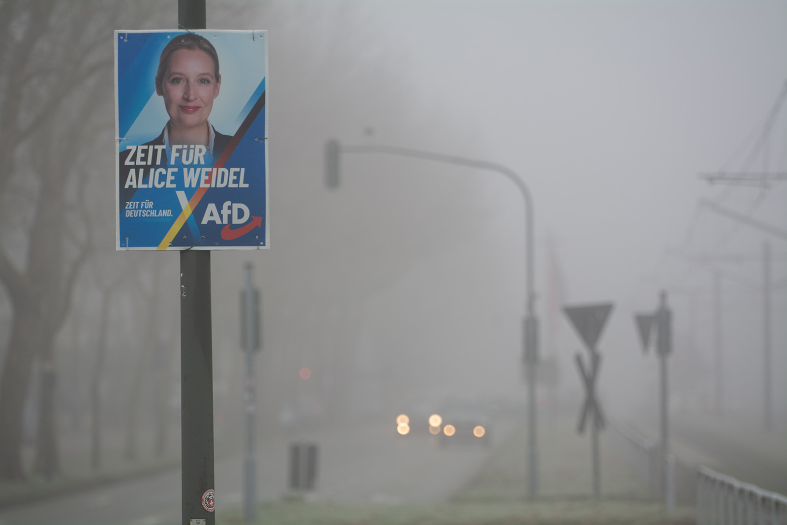 A general view of an AFD election placard is seen in Duesseldorf, Germany, on January 19, 2025, during a foggy day.