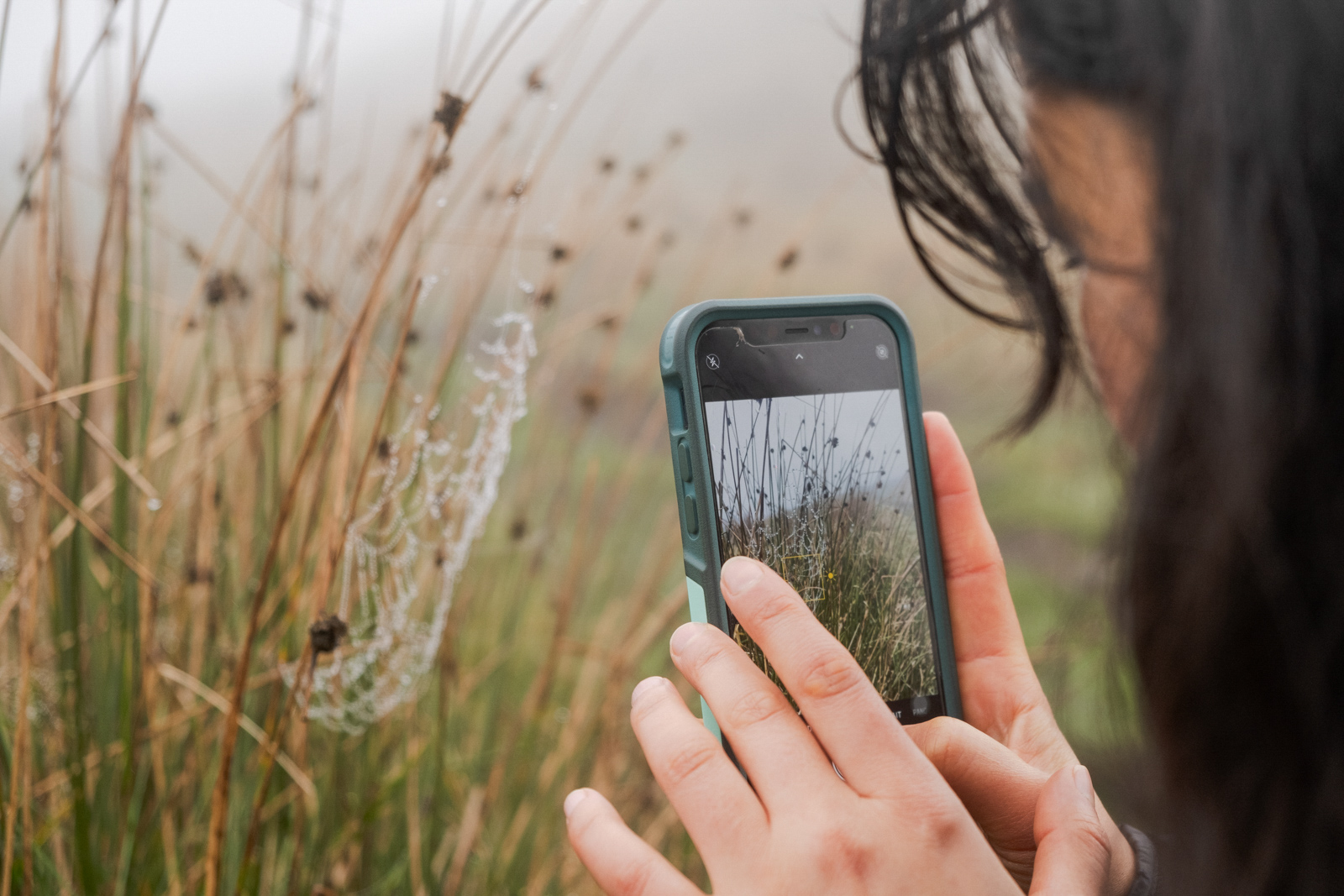 Freshta Ibrahimi photographs a spider's web heavy with dewdrops in the Peak District.