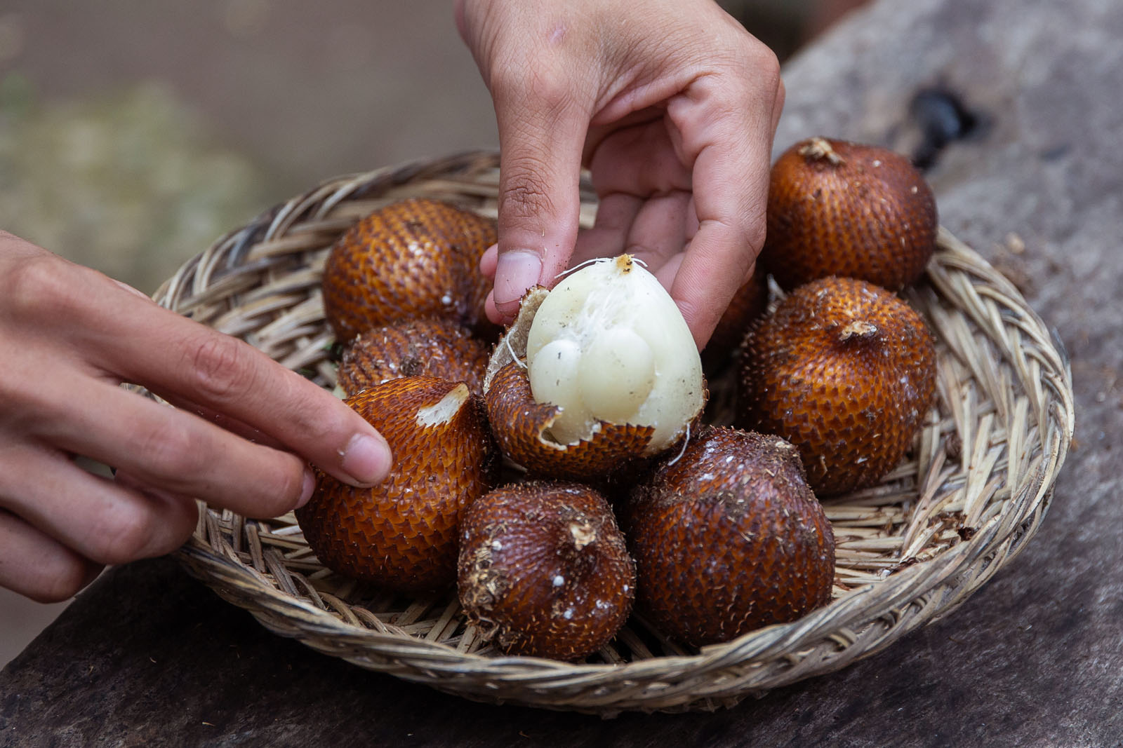 Snakeskin fruit