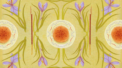 Illustration of bowls of food and flowers for article on the history of saffron