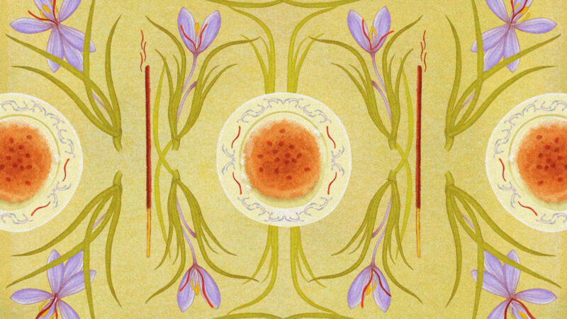 Illustration of bowls of food and flowers for article on the history of saffron