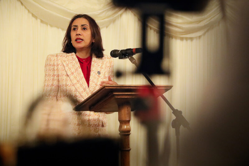 Peer calls on UK government to urgently fund culturally specific domestic violence services
