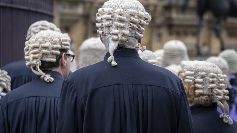 The back of a group of judges