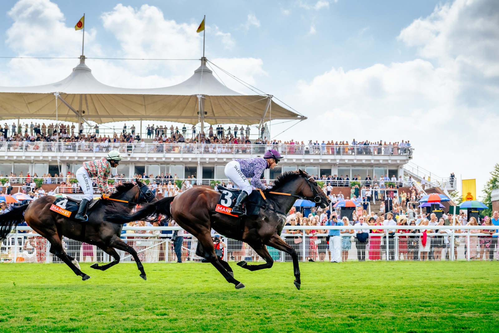 Two jockeys race towards the finish line on brown horses