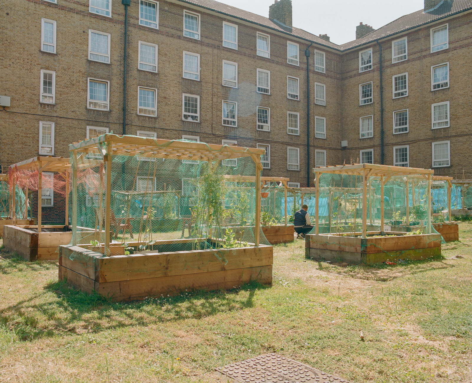 Garden and vegetable beds with estate houses in the background