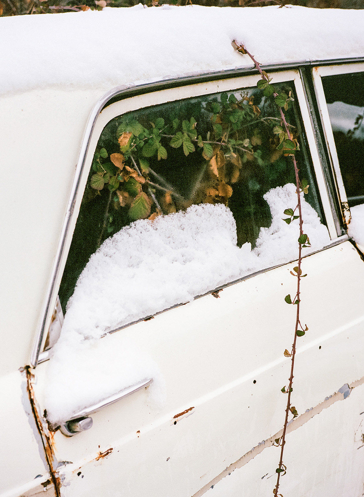 Image from Lebanese photographer Ghaleb Cabbabé's How Can It Still Be Home?, published by Kehrer Verlag