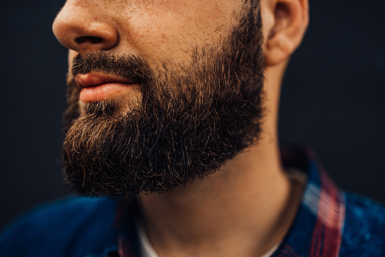 Bearded young man showing his thick beard in a close-up portrait