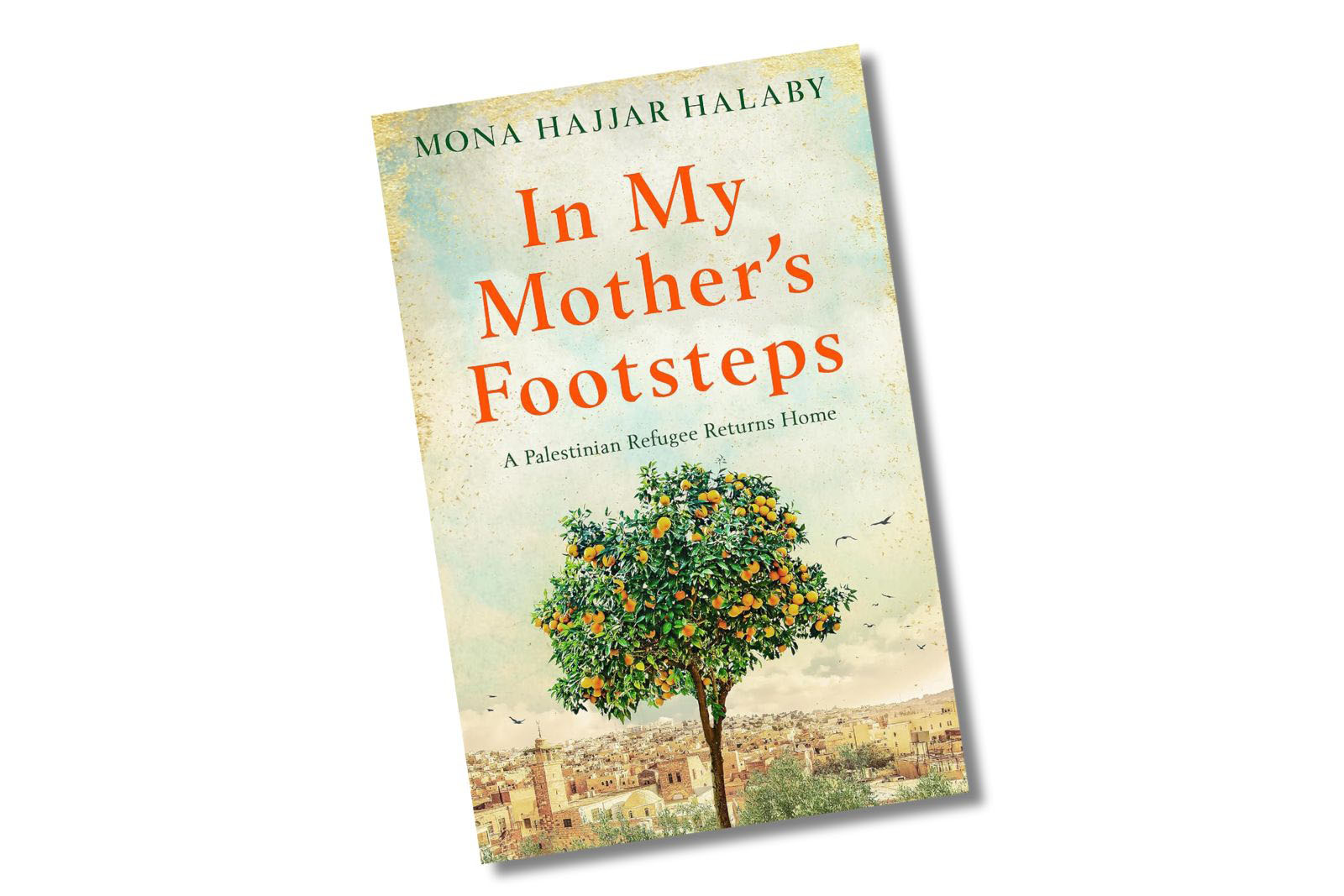 In My Mother's Footsteps book cover