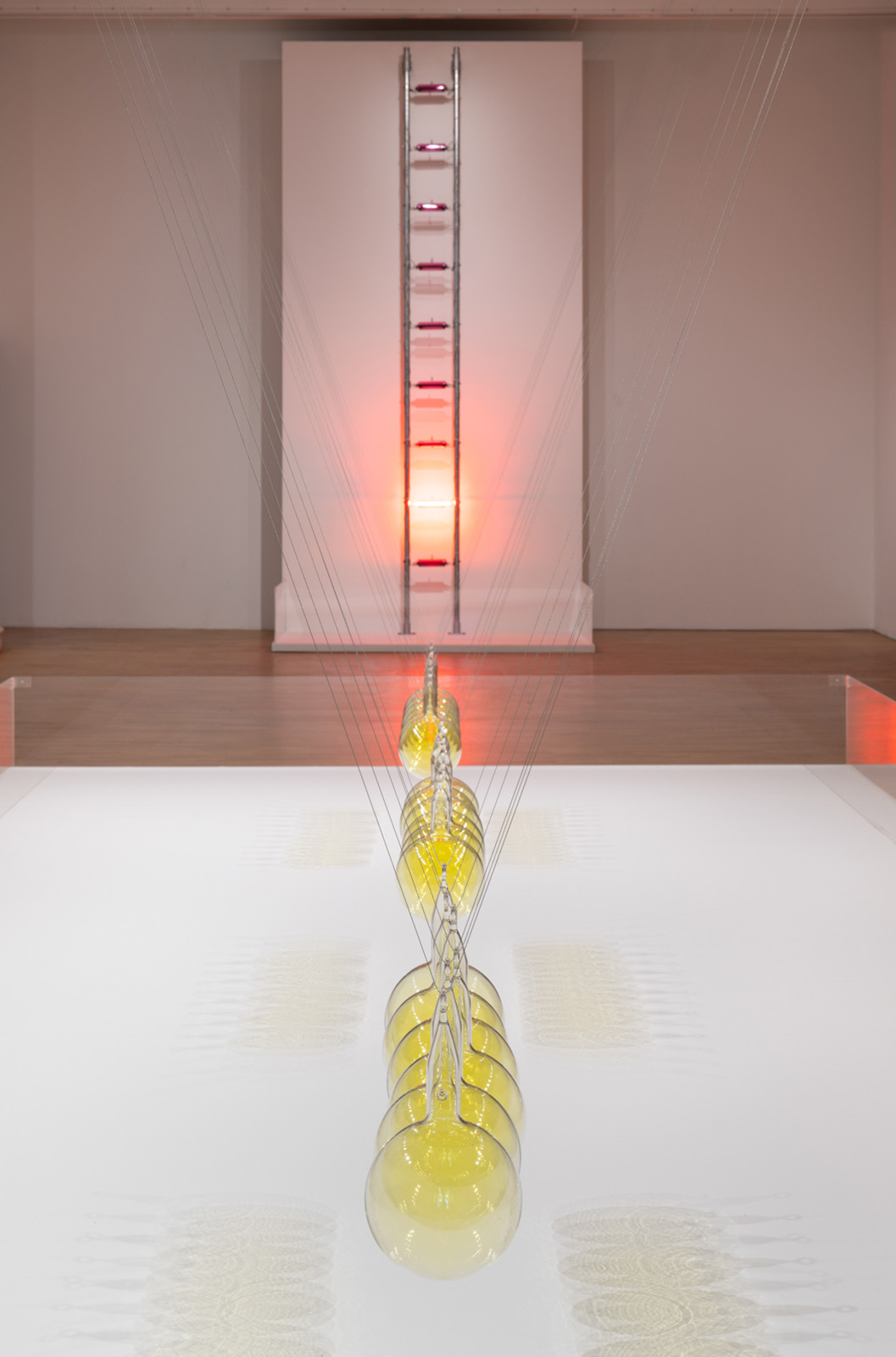 Photograph of installation by Hamad Butt. His work called Familiars.