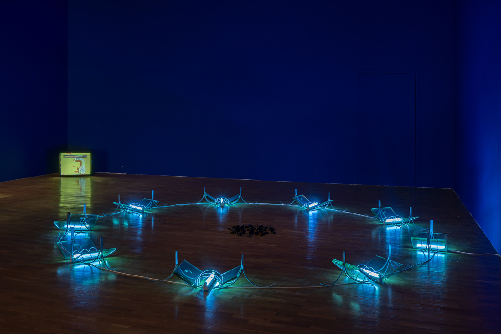 Photograph of Hamad Butt Installation. Circle of blue lights appear on the floor of a blue room. 