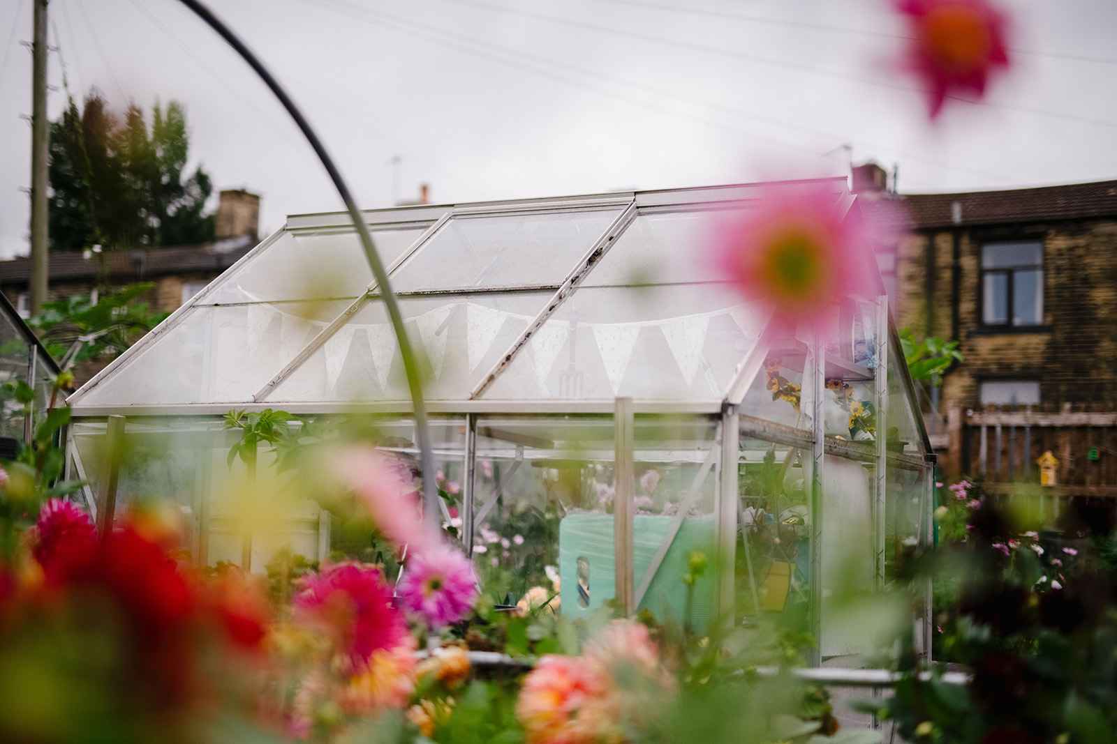 A greenhouse on Zahabia Naveed and Alan Wainwright's allotment. 