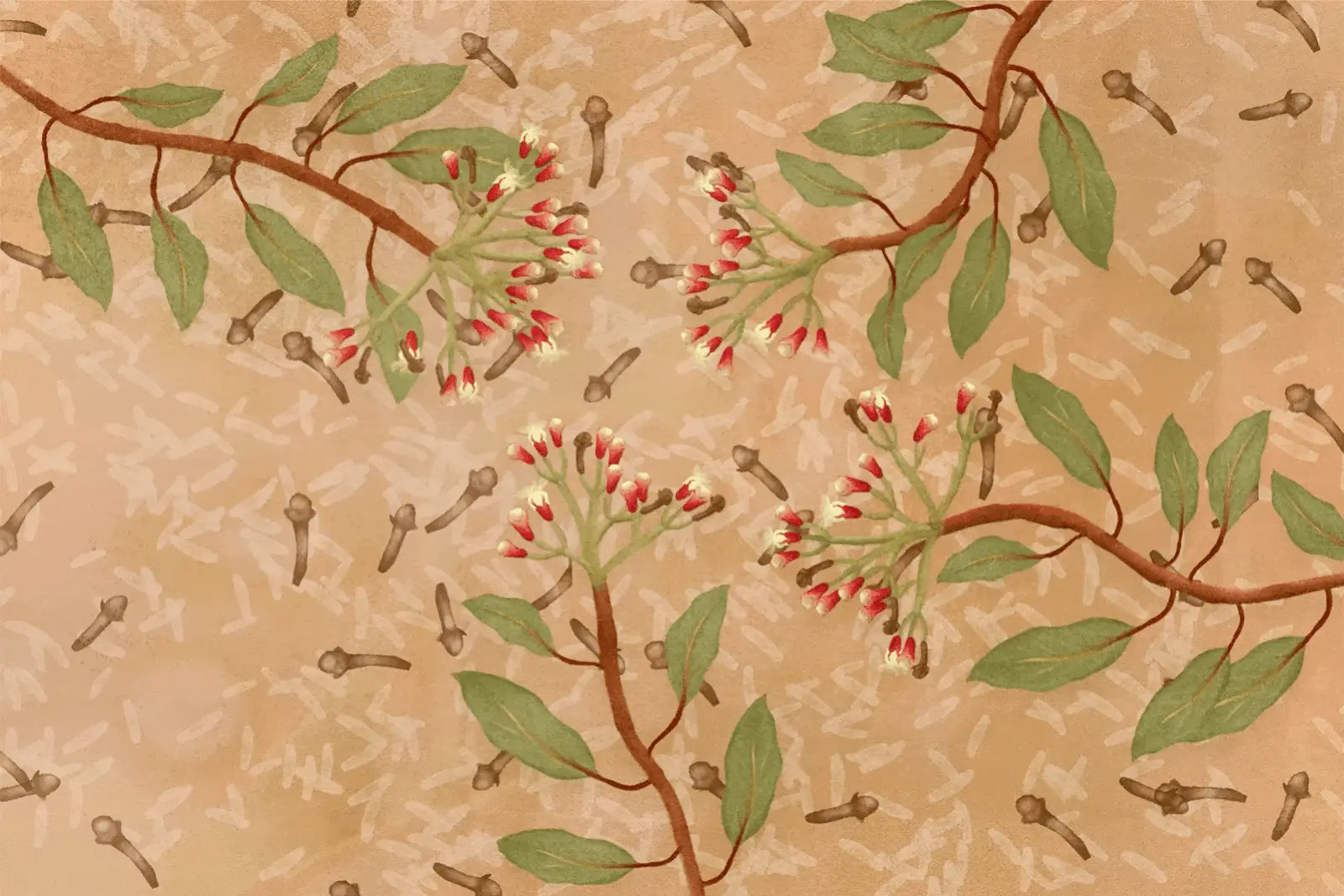 Illustration for feature on cloves