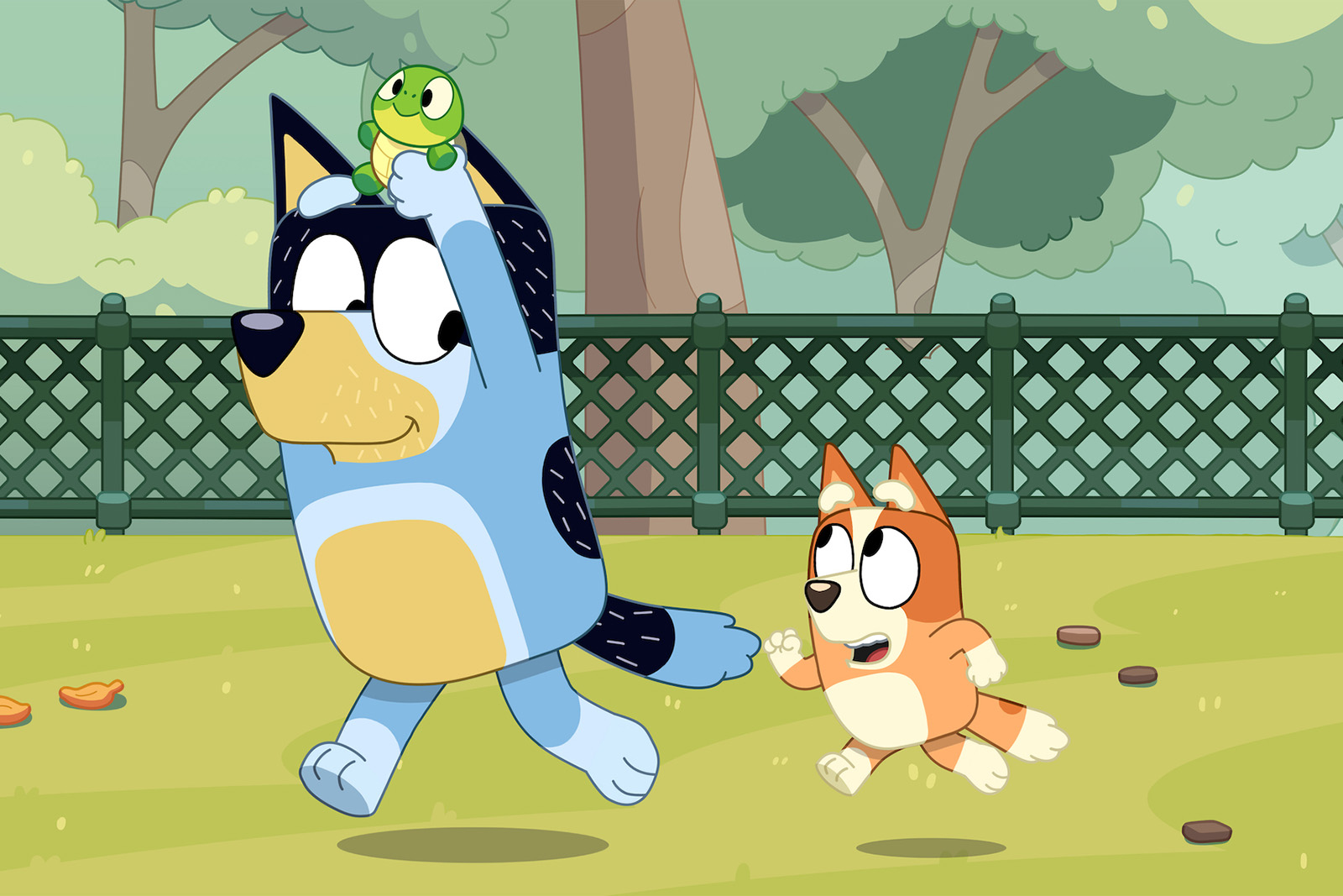 Still of the cartoon Bluey, episode 30 season 3 - Turtleboy. IMage shows the character bluey holding up a little turtle followed by a brown dog, running together in the park.