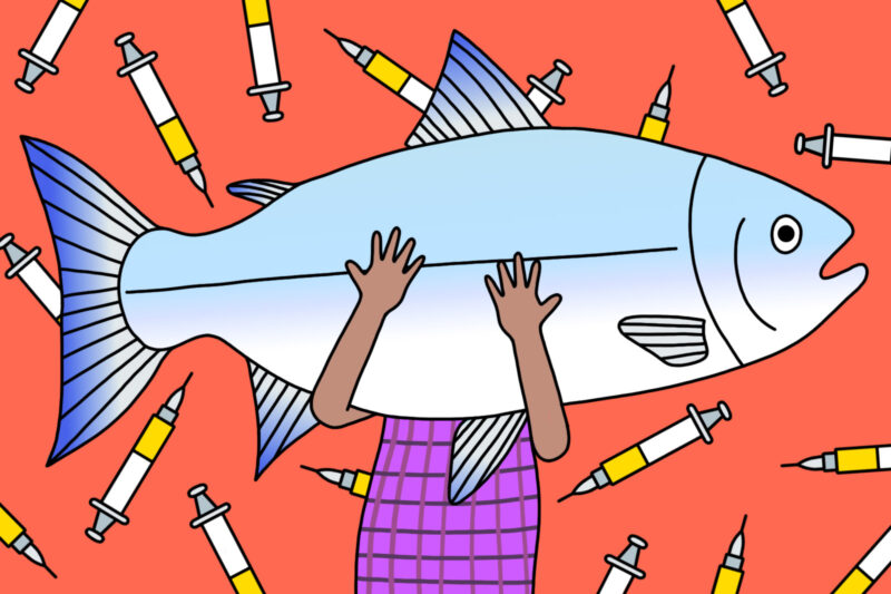 Illustration for feature about salmon sperm facials