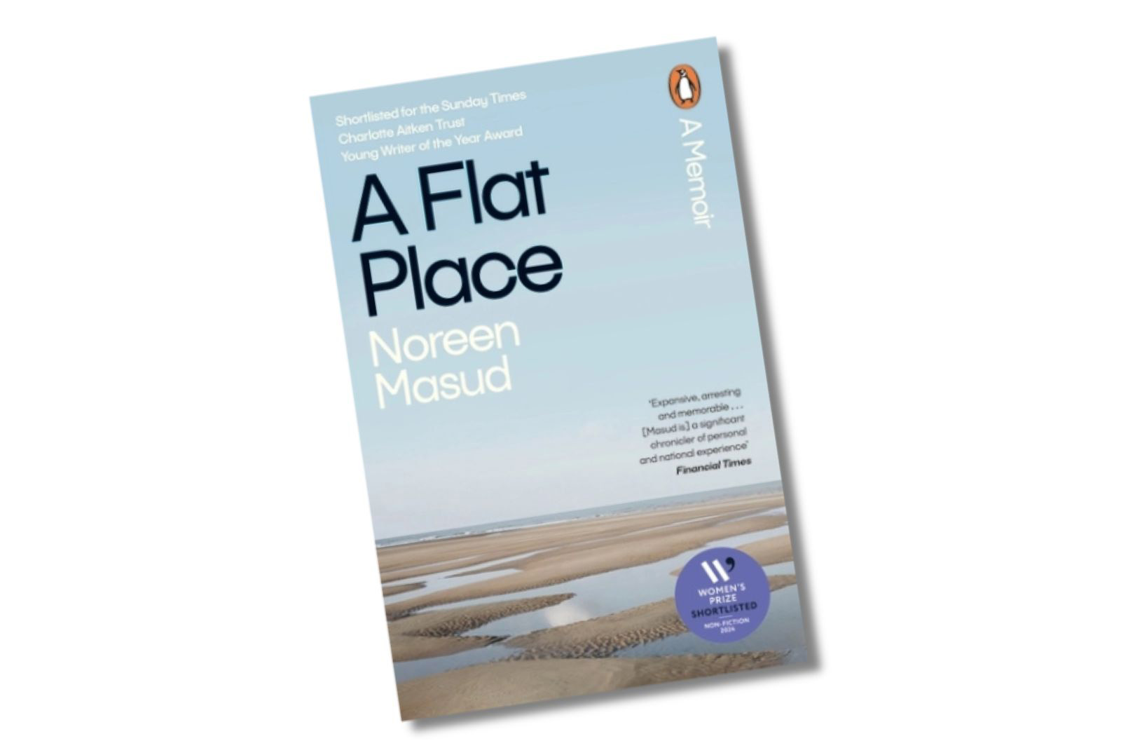 A Flat Place by Noreen Masud