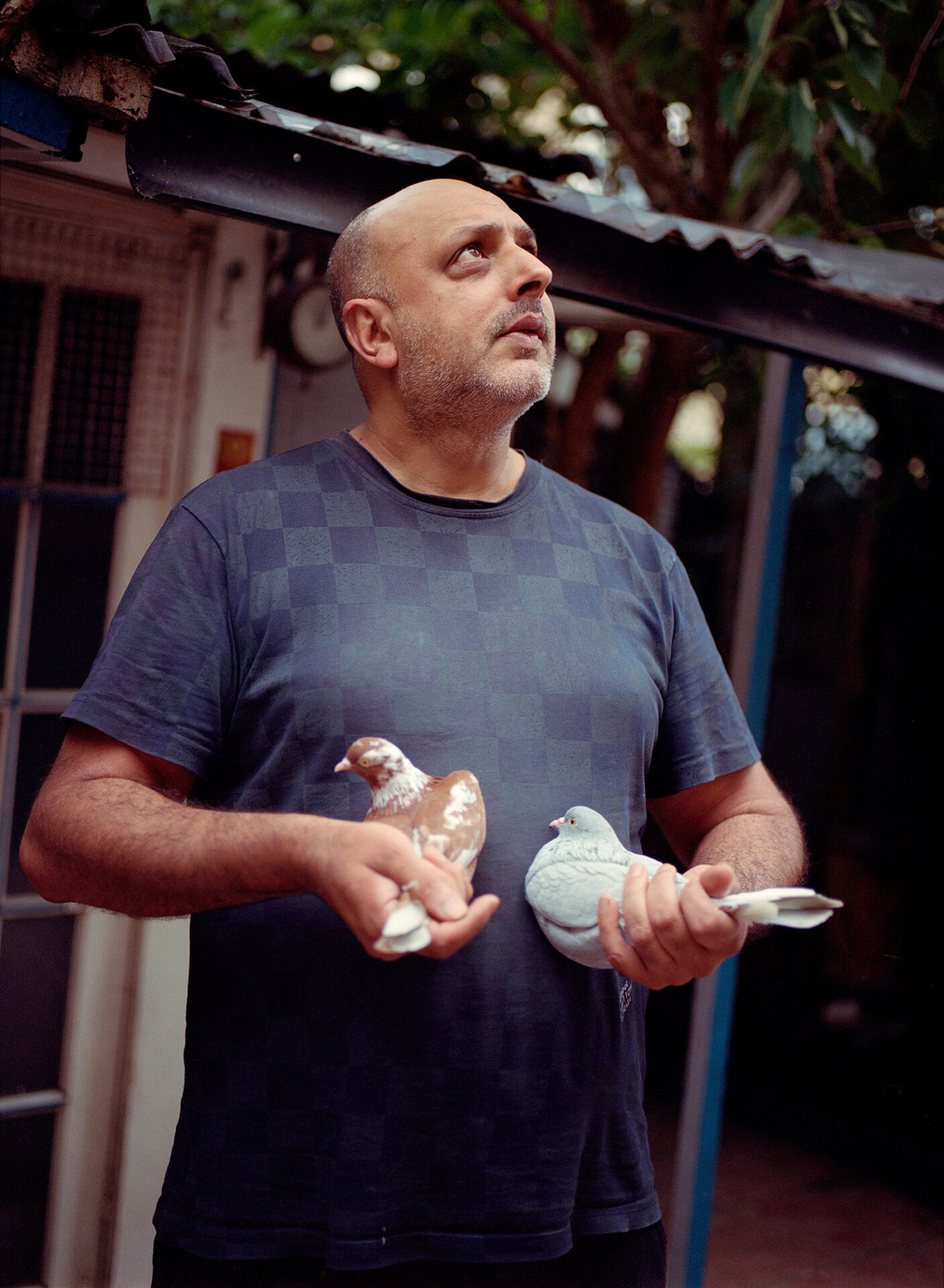 Majid Saleem holds two of his roller pigeons, birds known for their acrobatic flights.