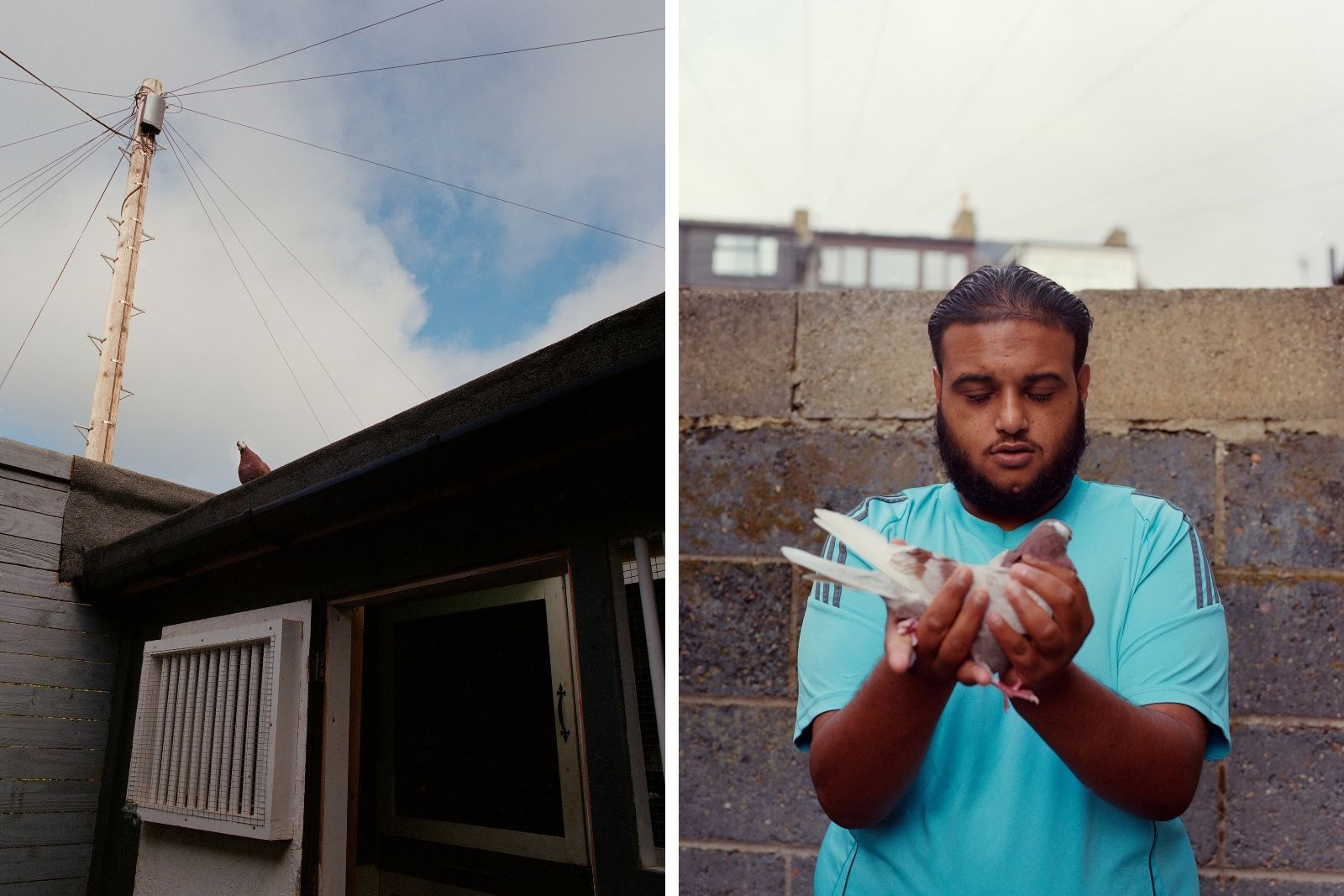 Left: a final reluctant bird waits outside Shahid Miah’s loft. When feed won’t tempt it, Miah sometimes sends a bolder pigeon out to guide it home.
Right: Raheem, Arif Hussain’s brother, gently holds one of Arif’s pigeons.