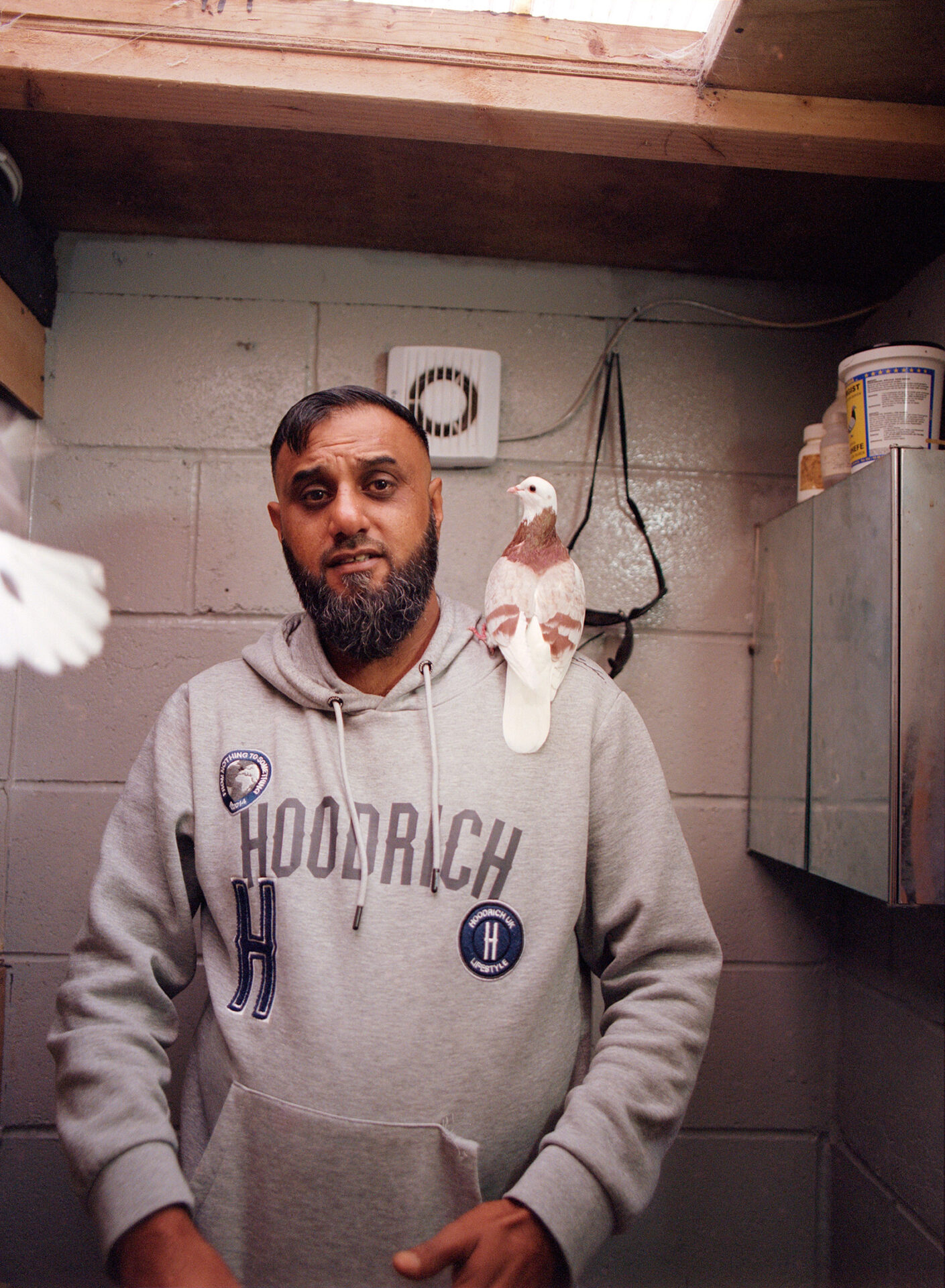 Inside his loft, Arif Hussain stands with a pigeon perched comfortably on his shoulder.