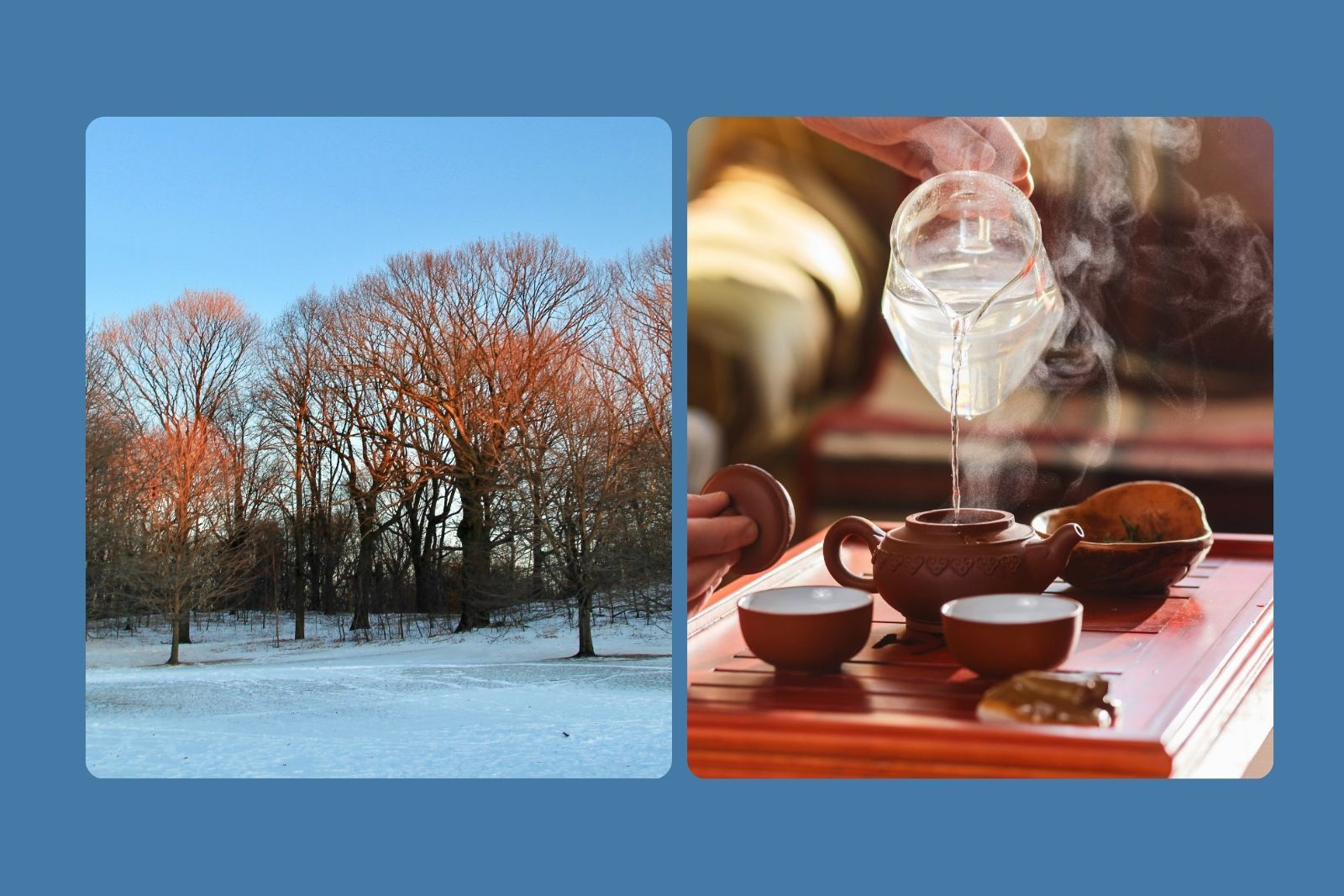 A composite image with photographs of things Cherien Dabis likes, with Prospect Park, Brooklyn (on the left) and a tea ceremony (right)