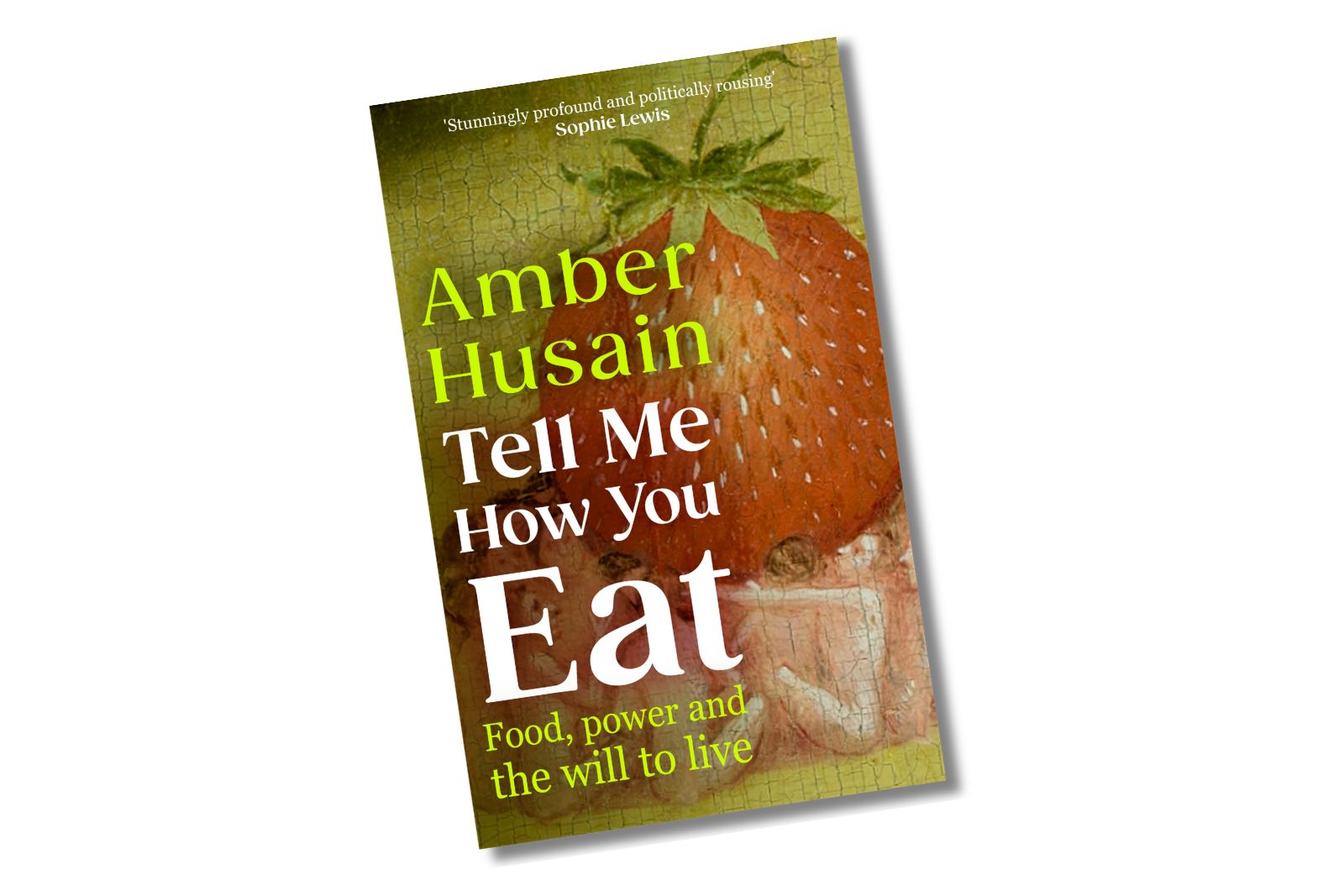 An image of the cover of Amber Husain's book Tell Me How You Eat