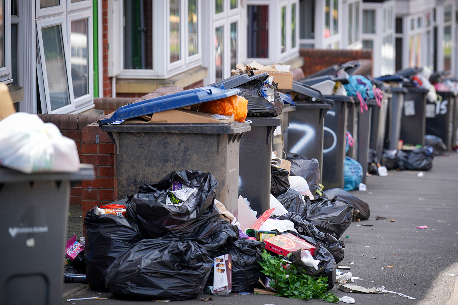 A close-up of a row of overflowing bins