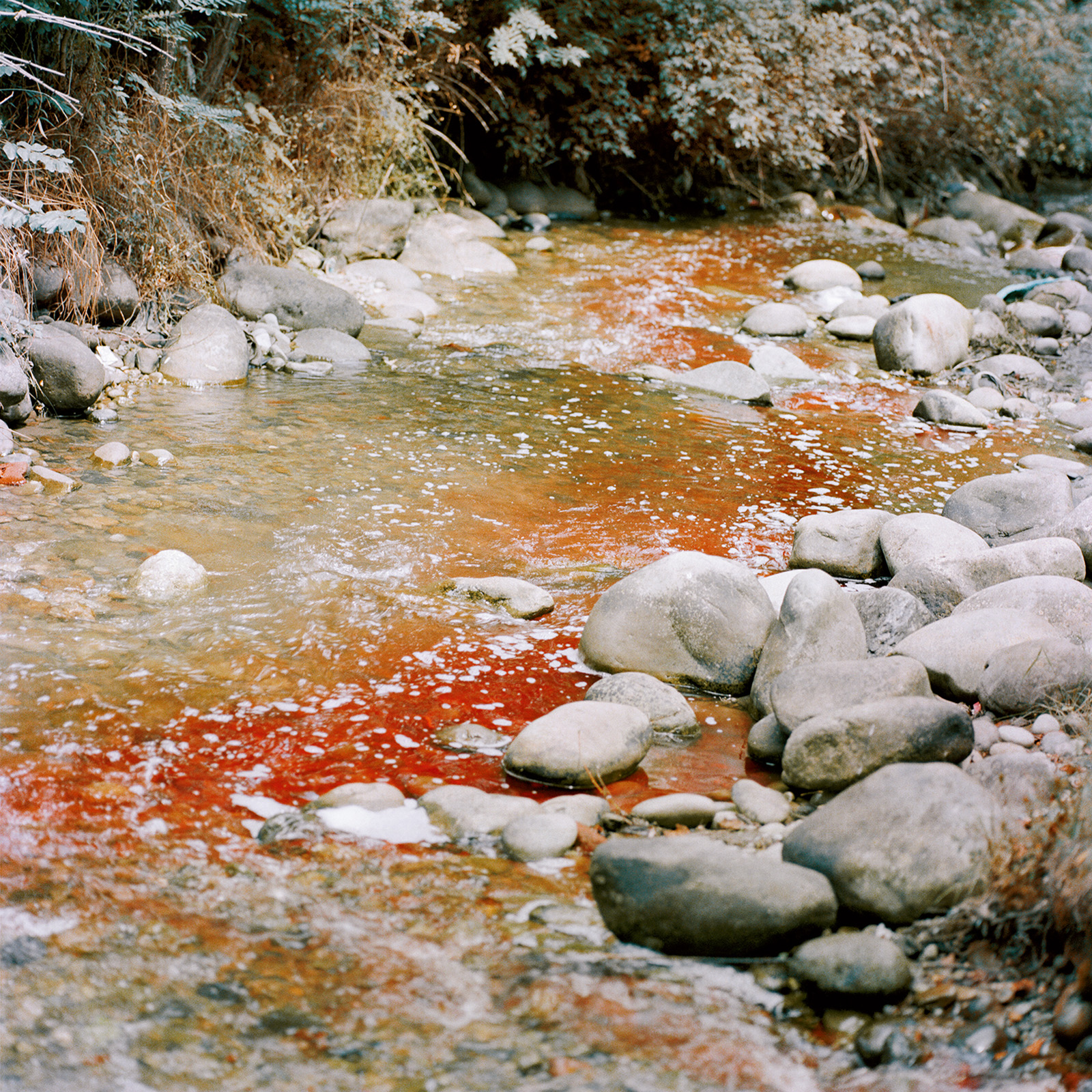 Sohrab Hura, Snow. Photograph shows landscape Kashmir