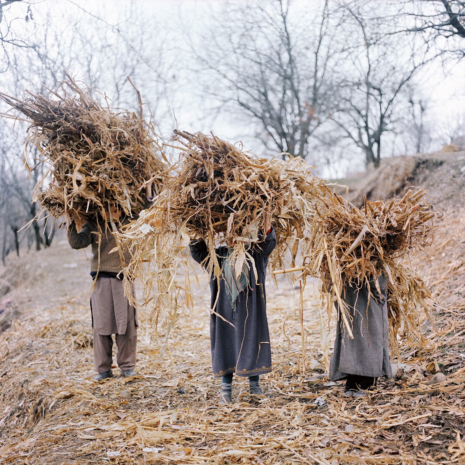 Sohrab Hura, Snow. Photograph shows three people holding hay