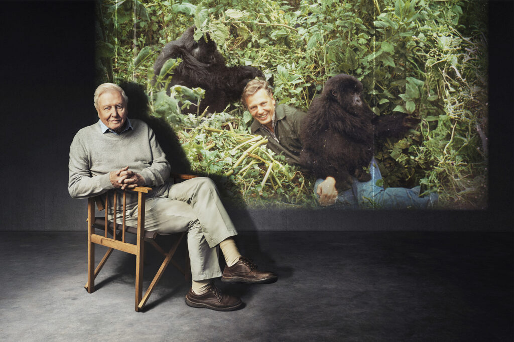 A promotional image for BBC documentary series Making Life on Earth, featuring David Attenborough seated , legs crossed, in front of a large still image of his younger self in the jungle with gorillas