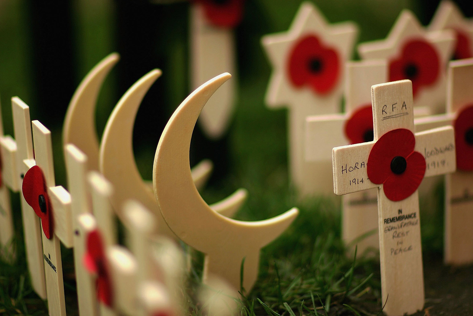 Wooden crescents and crosses in rows. The crosses bear poppies