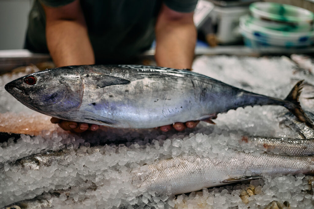 A close up photograph of a member of staff holding a large tuna in their hands over an ice-filled display unit containing more fish at Peterborough fishmonger’s-cum-restaurant Elhoot