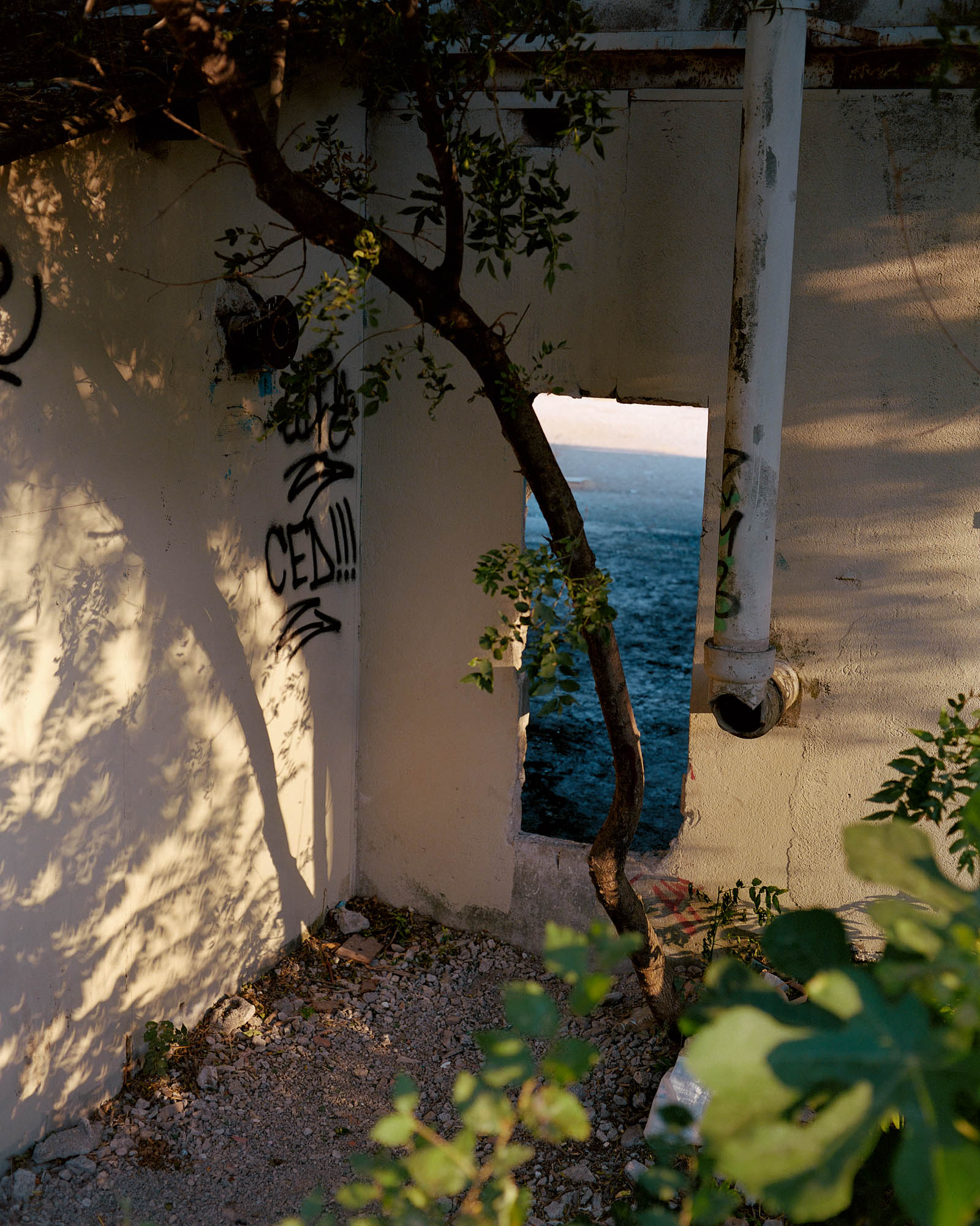 A photograph, titled L'Estaque, taken in an abandoned building with graffitied white walls and vegetation growing inside, looking out through a hole where a door or window used to be on a patch of deep blue sea. From Camille Farrah Lenain’s monograph Made Of Smokeless Fire
