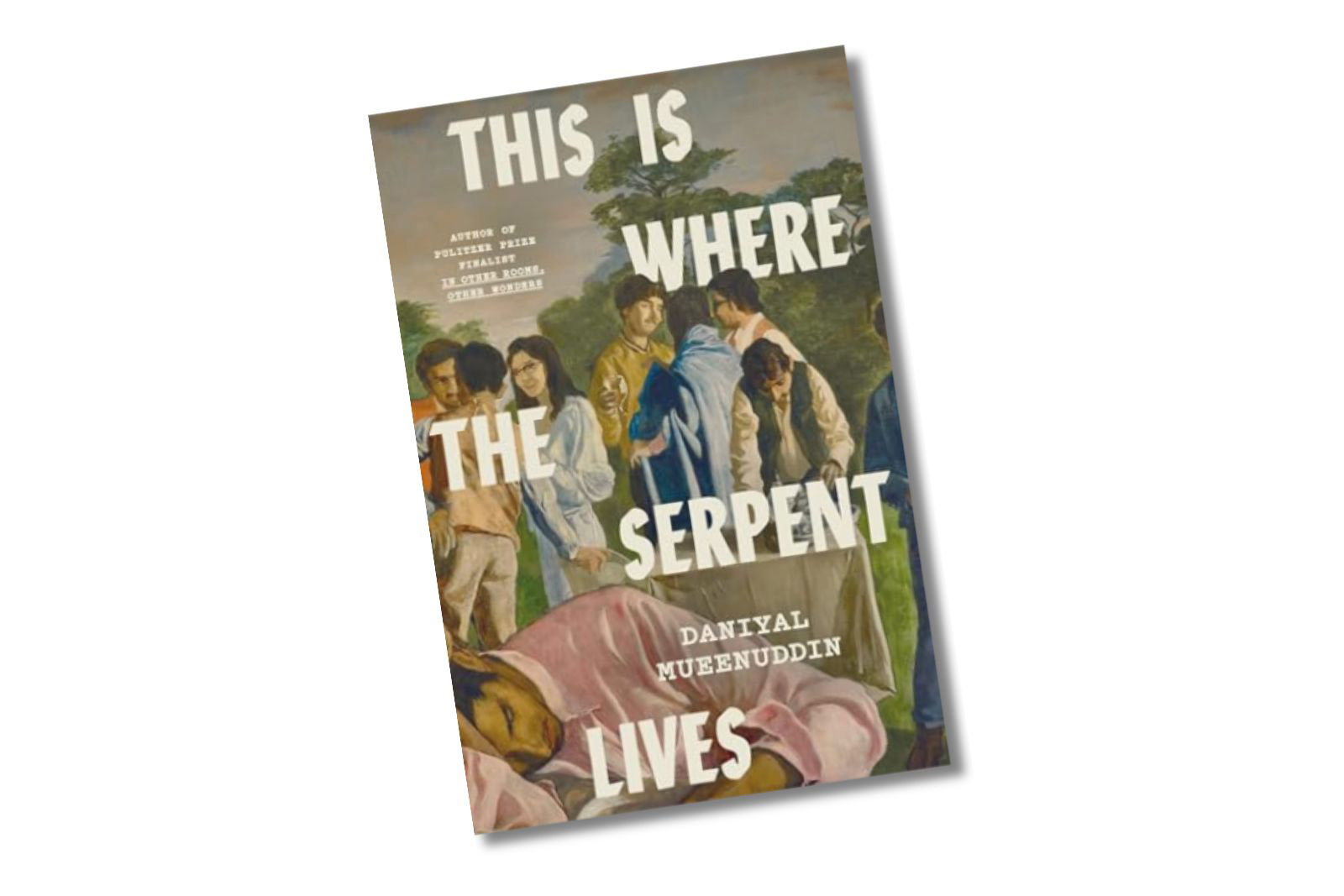 This Is Where the Serpent Lives by Daniyal Mueenuddin
