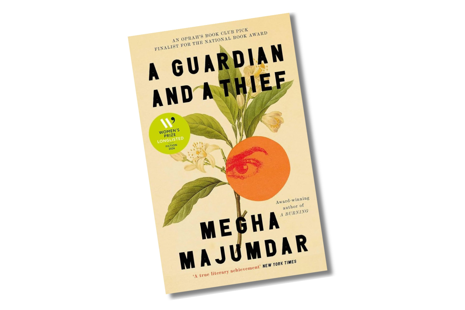 An image of the cover of A Guardian And a Thief by Megha Majumdar