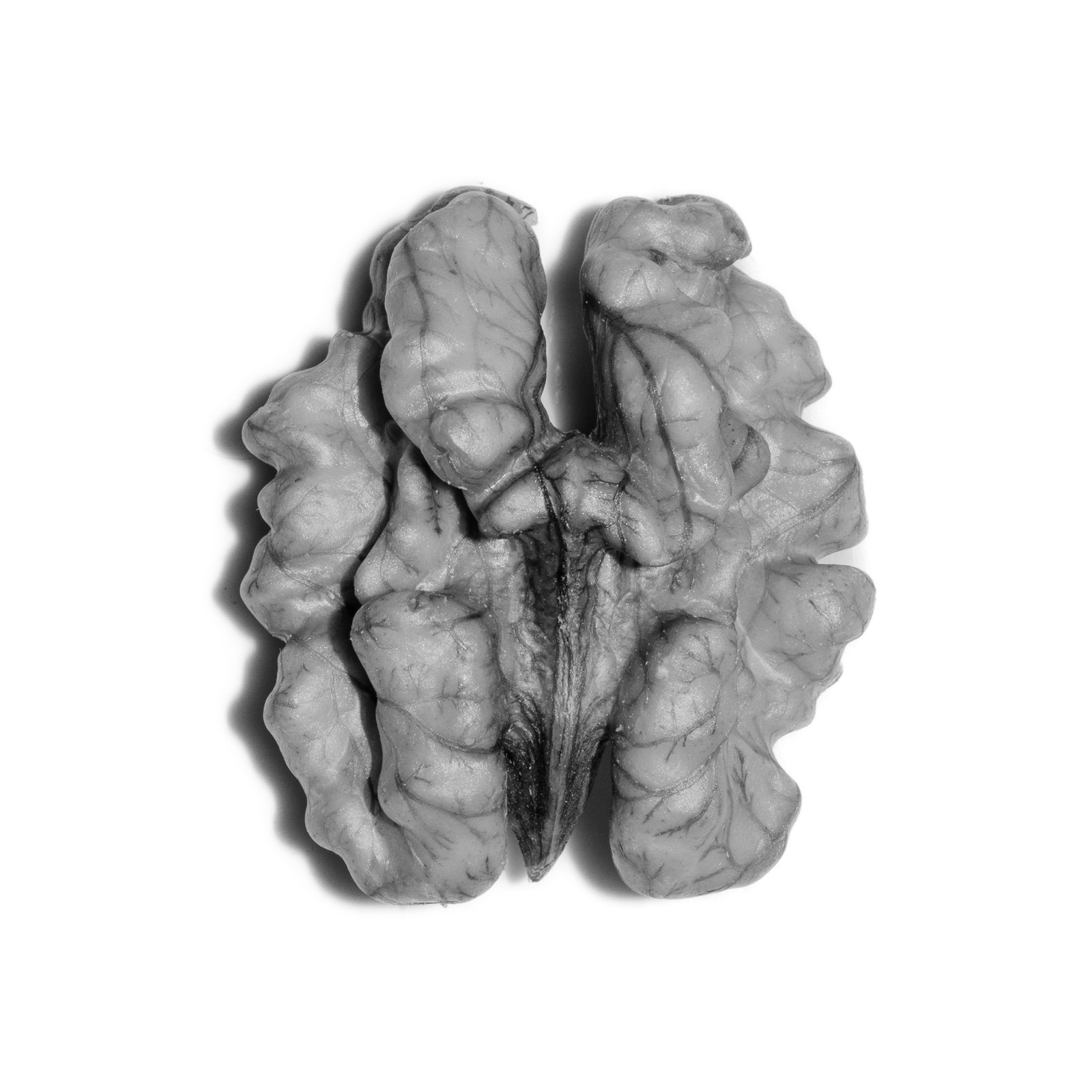 A black and white close up shot of a walnut, from Aman Alam's series Ozymandias, documenting his grandmother's life with Alzheimer's, titled Give me a Walnut Instead. Alam says his grandmother joked that walnuts are all she needs to keep her brain healthy. She says the medicines don’t work. 