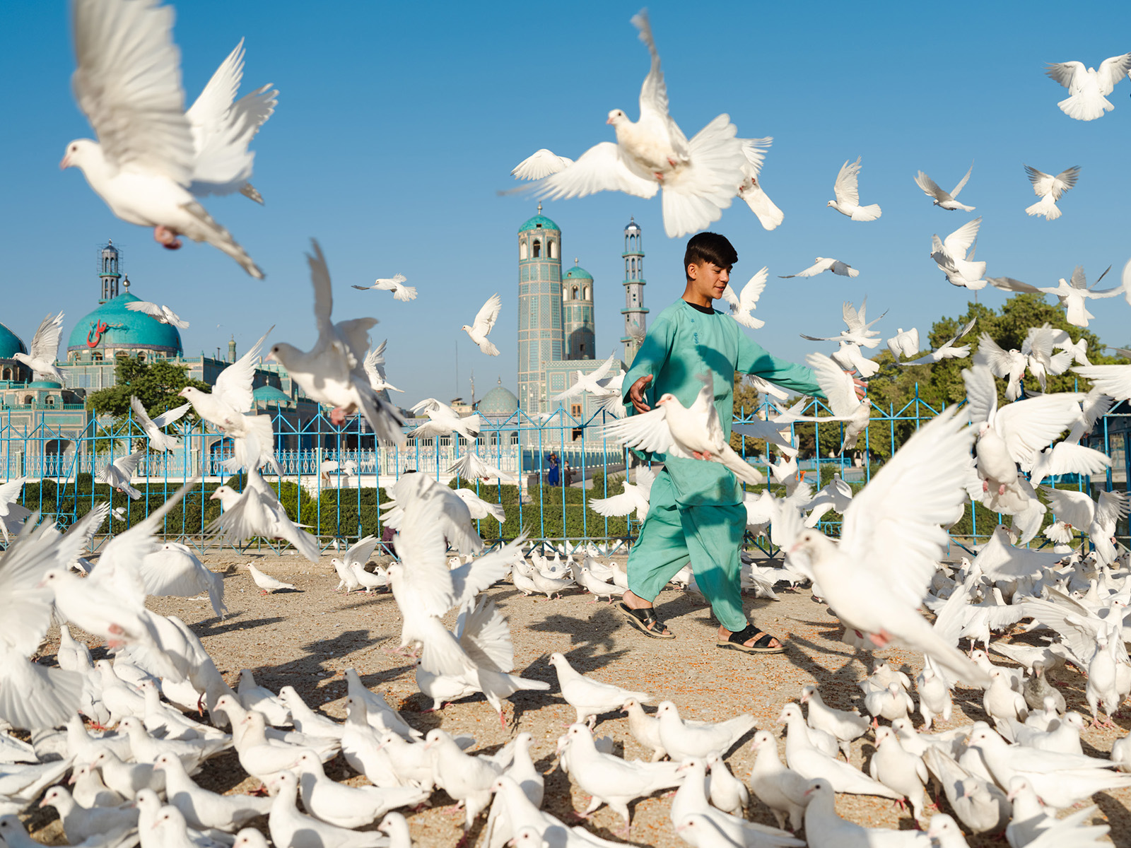 A photograph of a boy walking among white pigeons as they take off around him, from Daniel Malikyar's new photobook Afghanistan
